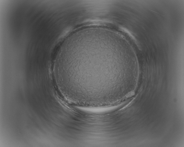 X0000070221403200605261306