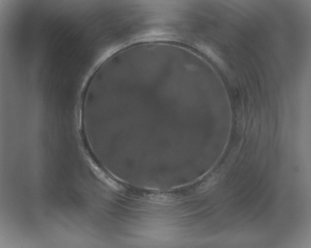 X0000070221413200605261306