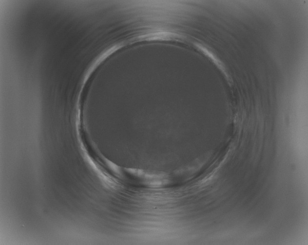 X0000070221418200605261306