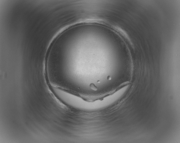 X0000070221420200605261306