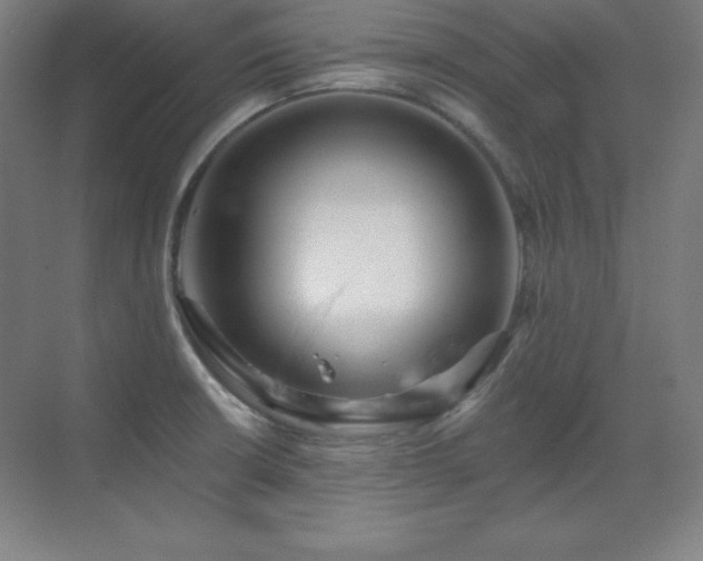 X0000070221426200605261306