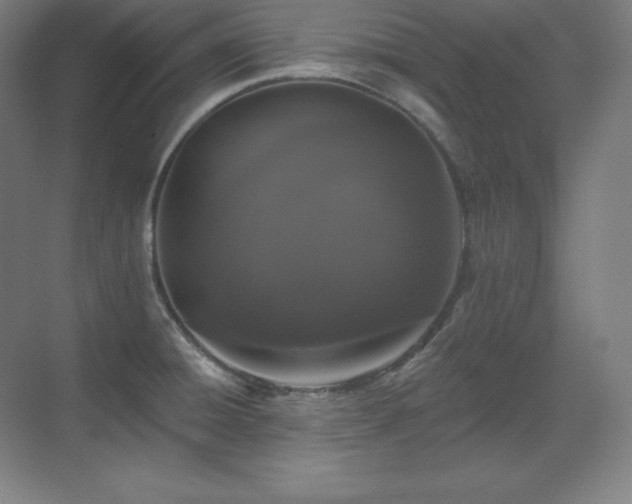 X0000070221428200605261306