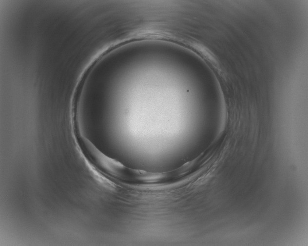 X0000070221430200605261306