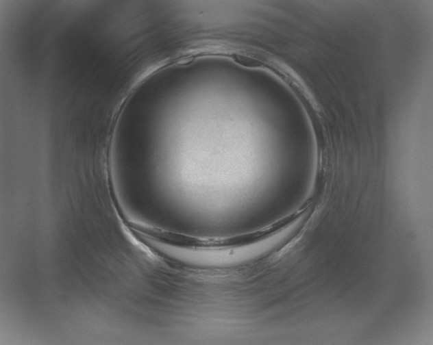 X0000070221433200605261306