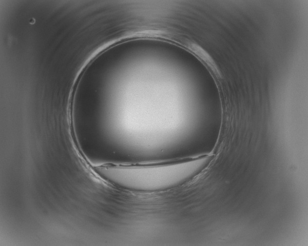 X0000070221436200605261306