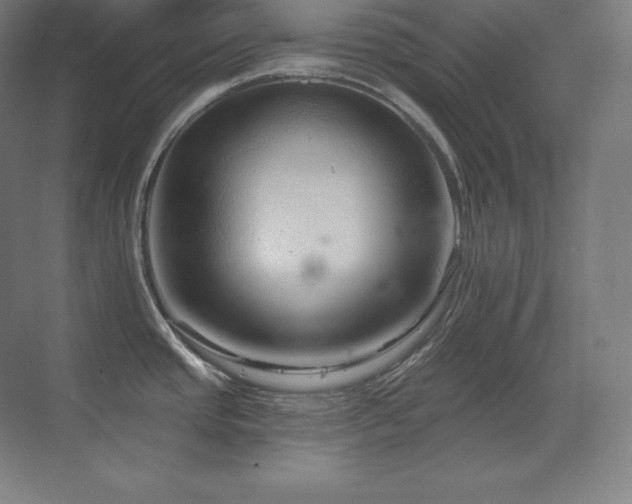 X0000070221437200605261306