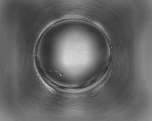 X0000070221438200605261306