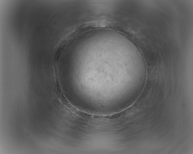 X0000070221446200605261305