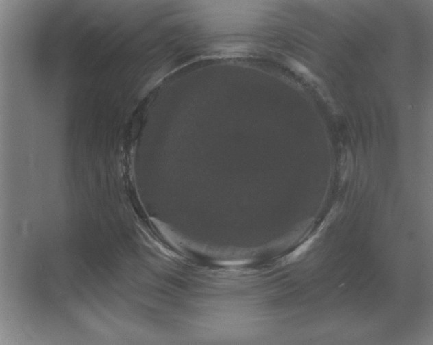 X0000070221449200605261305