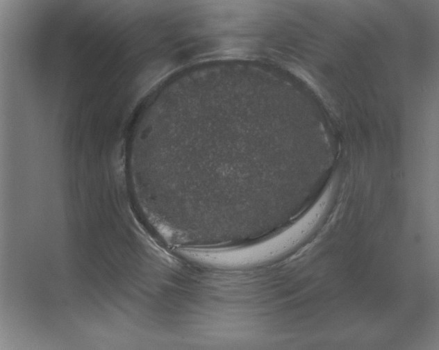 X0000070221450200605261305