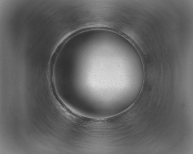 X0000070221460200605261305
