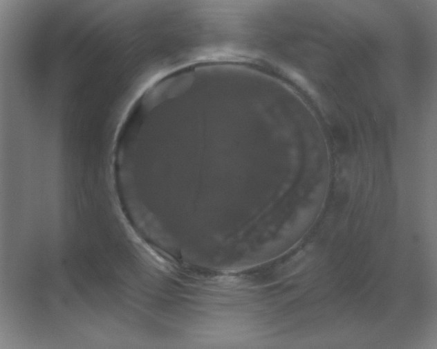 X0000070221463200605261305