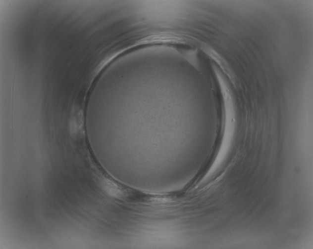 X0000070221465200605261305