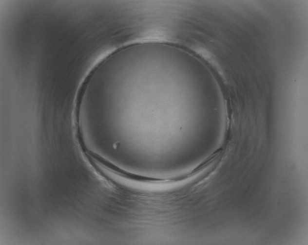 X0000070221469200605261305