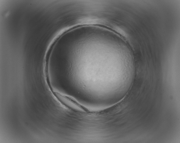 X0000070221472200605261305