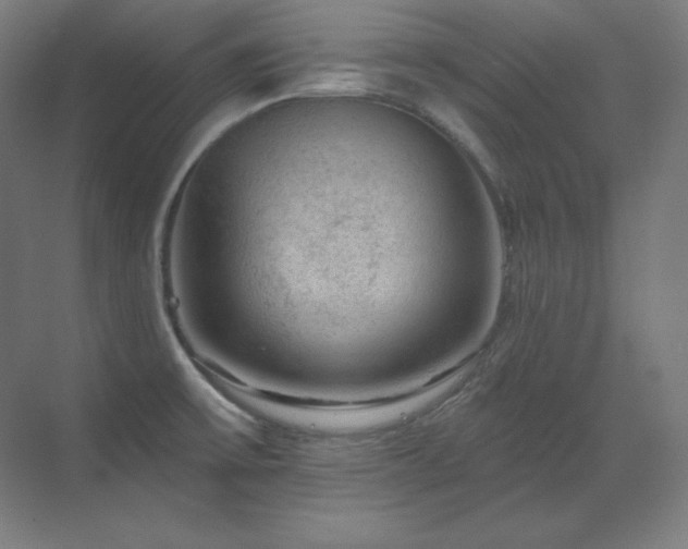 X0000070221475200605261305