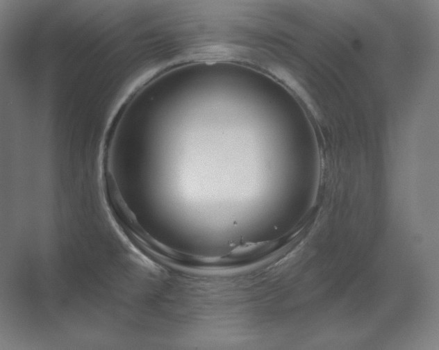 X0000070221477200605261305