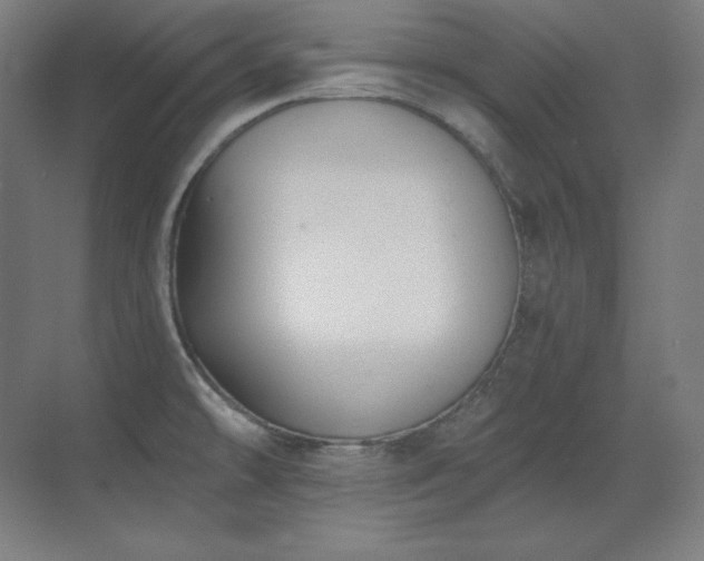 X0000070221478200605261305