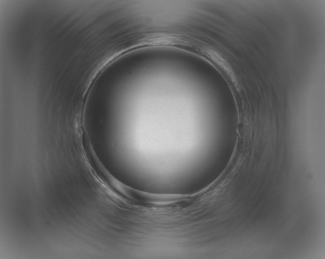 X0000070221481200605261305
