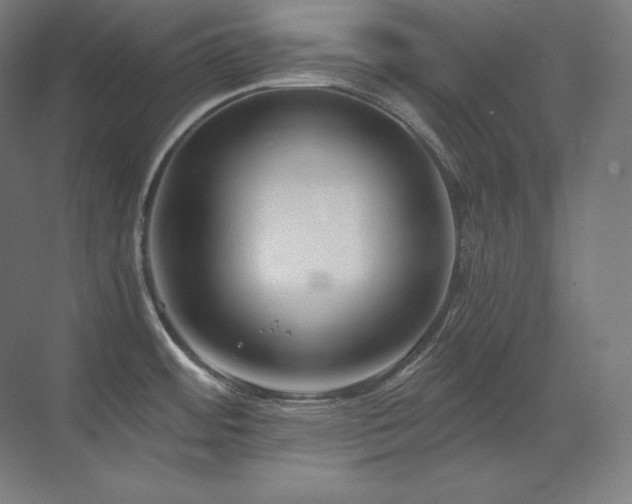 X0000070221484200605261305