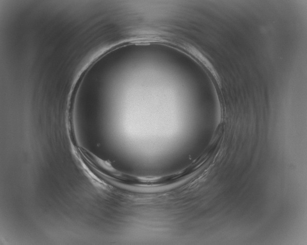 X0000070221485200605261305
