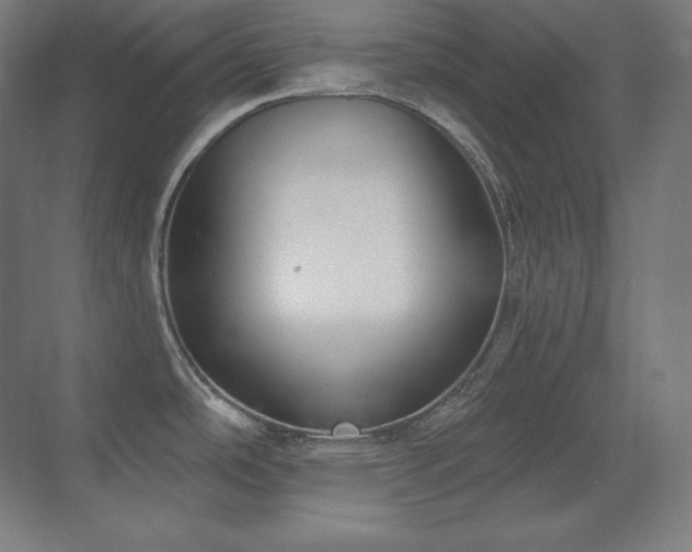 X0000070221486200605261305