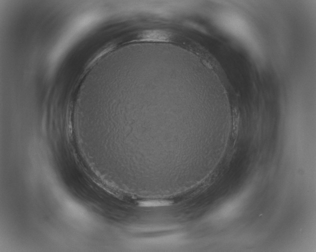 X0000070221487200605261305