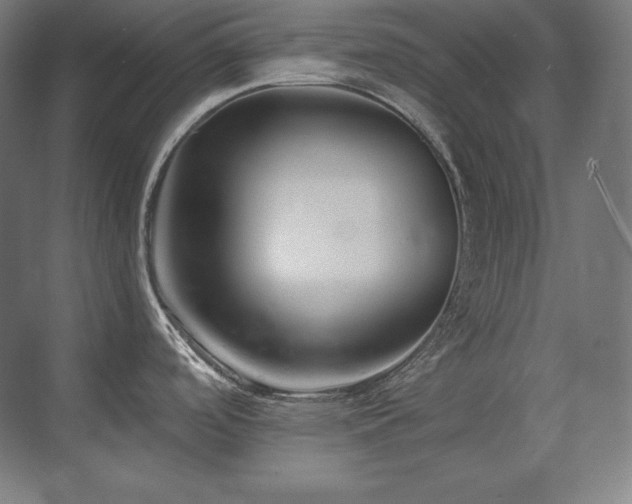 X0000070221488200605261305
