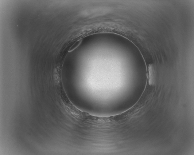 X0000070221491200605261304