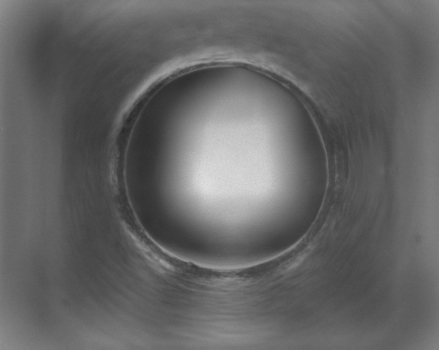 X0000070221502200605261304