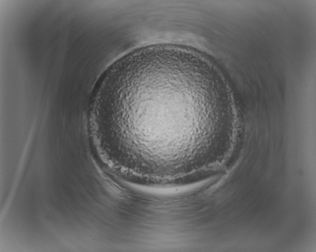 X0000070221505200605261304