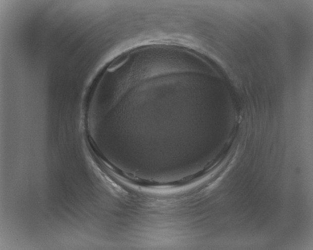 X0000070221506200605261304