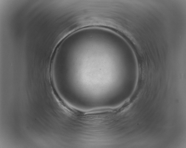 X0000070221513200605261304
