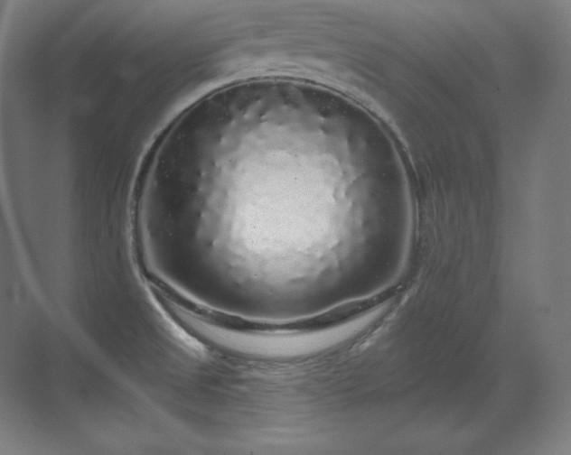 X0000070221525200605261305
