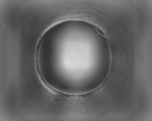 X0000070221526200605261305