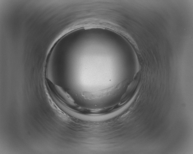 X0000070221530200605261305