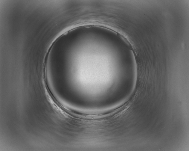 X0000070221534200605261305