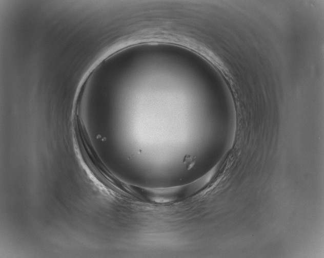 X0000070221536200605261305