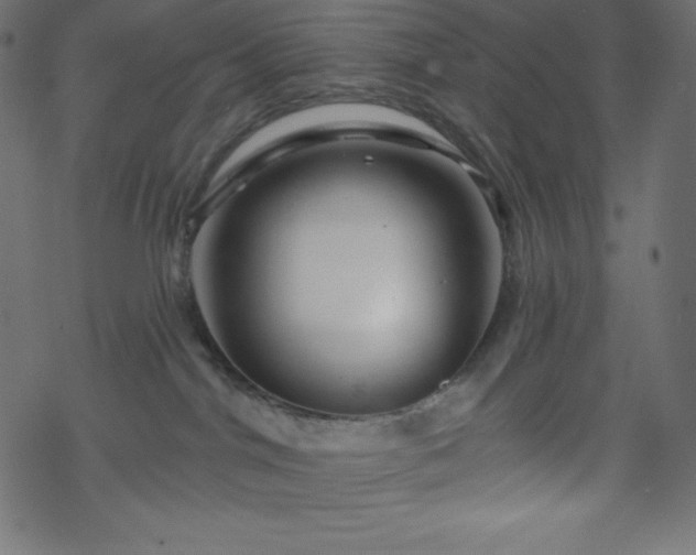 X0000070220044200605301441