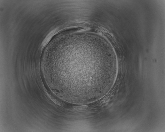 X0000070220051200605301441
