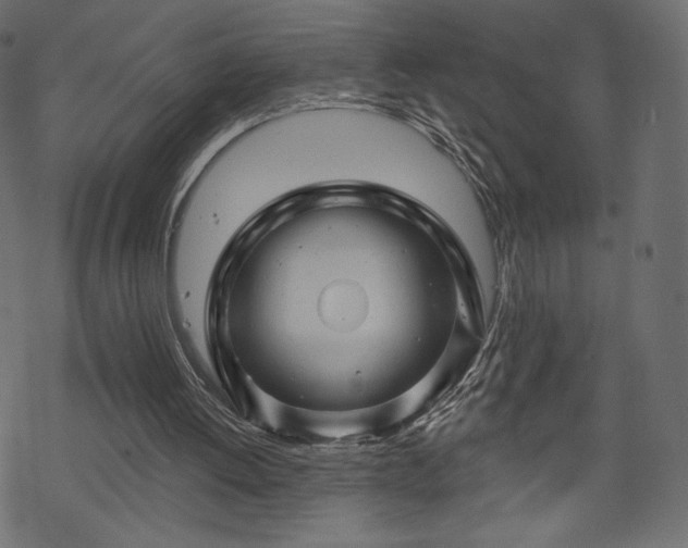 X0000070220052200605301441