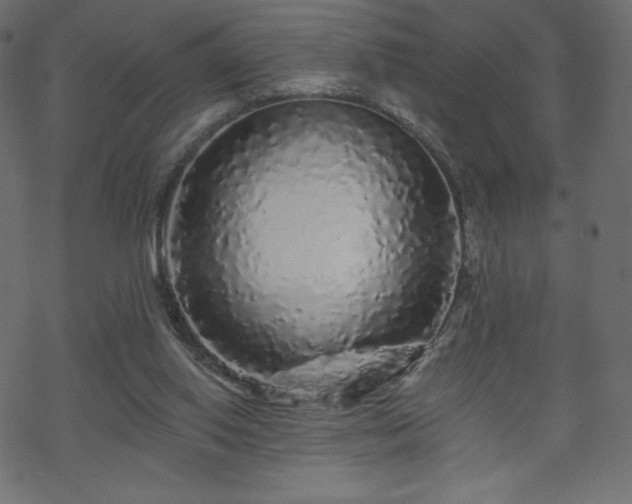 X0000070220062200605301441
