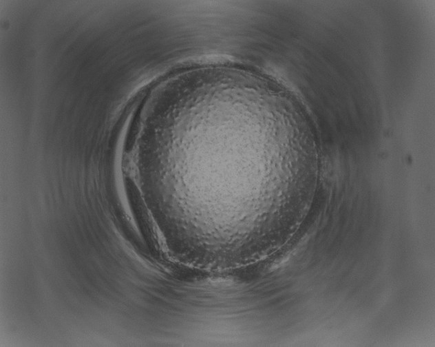X0000070220063200605301441