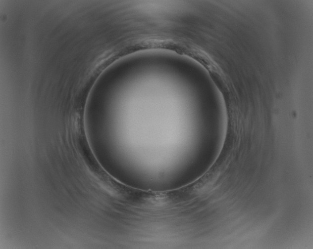 X0000070220071200605301441
