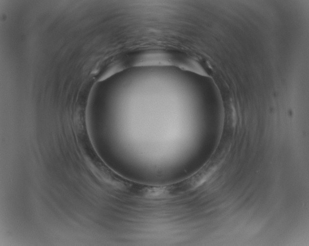 X0000070220088200605301441
