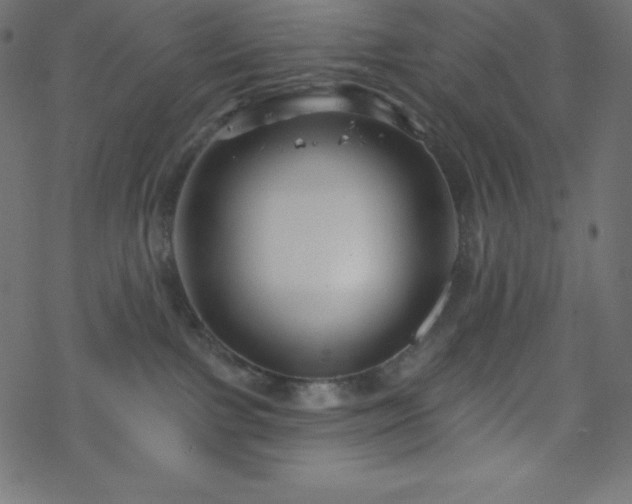 X0000070220091200605301441