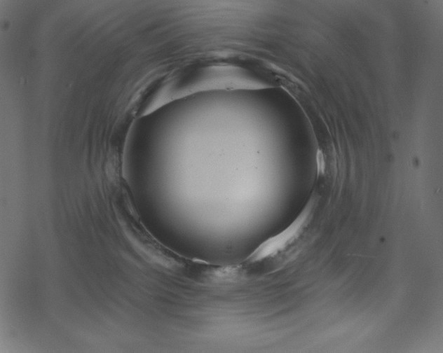 X0000070220092200605301441