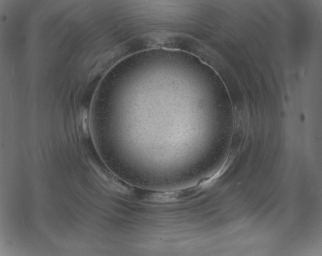 X0000070220094200605301441
