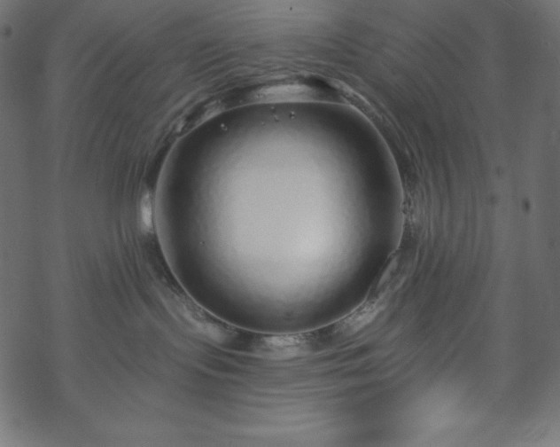 X0000070220095200605301441