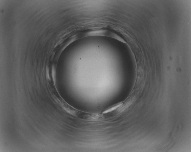 X0000070220096200605301441